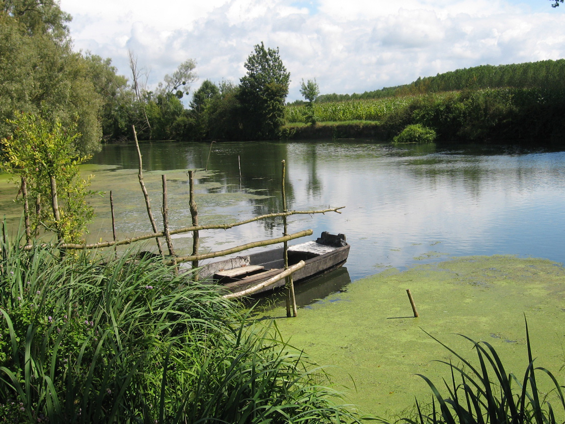La rivière Indre éternelle sauvage