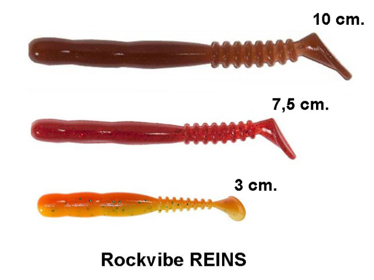 Taille et coloris rockvibe Reins