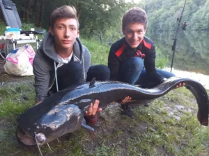 course-wels-catfish-children