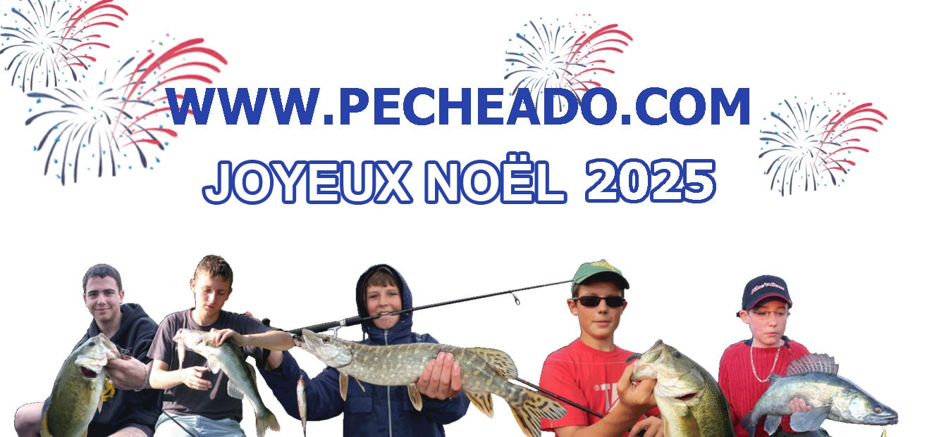 stage-peche-ados-carnassiers